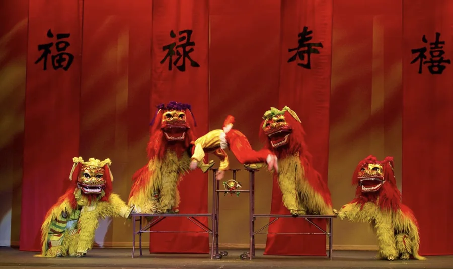 Chinese lion dance acrobatic performance